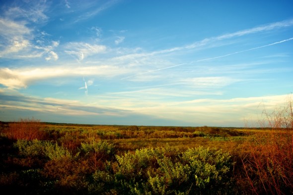 Fall into the Prairie