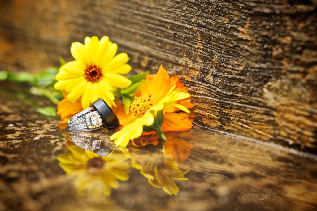 Harris+Henderson. Shenanigans.