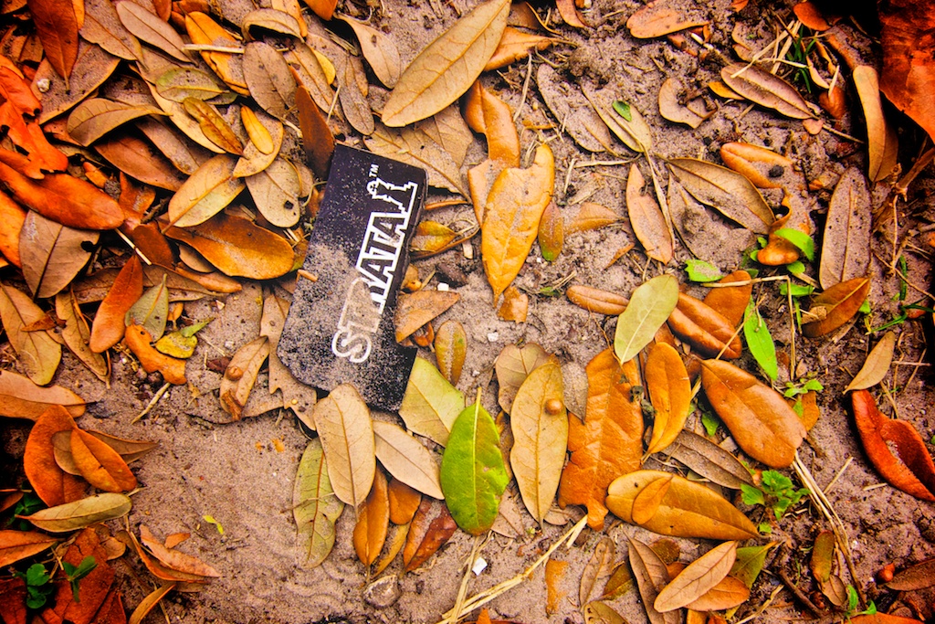 STRATA. It’s Just a&nbsp;Party.