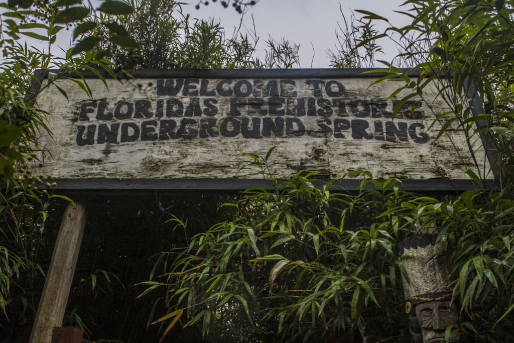 Florida's Prehistoric Underground Spring