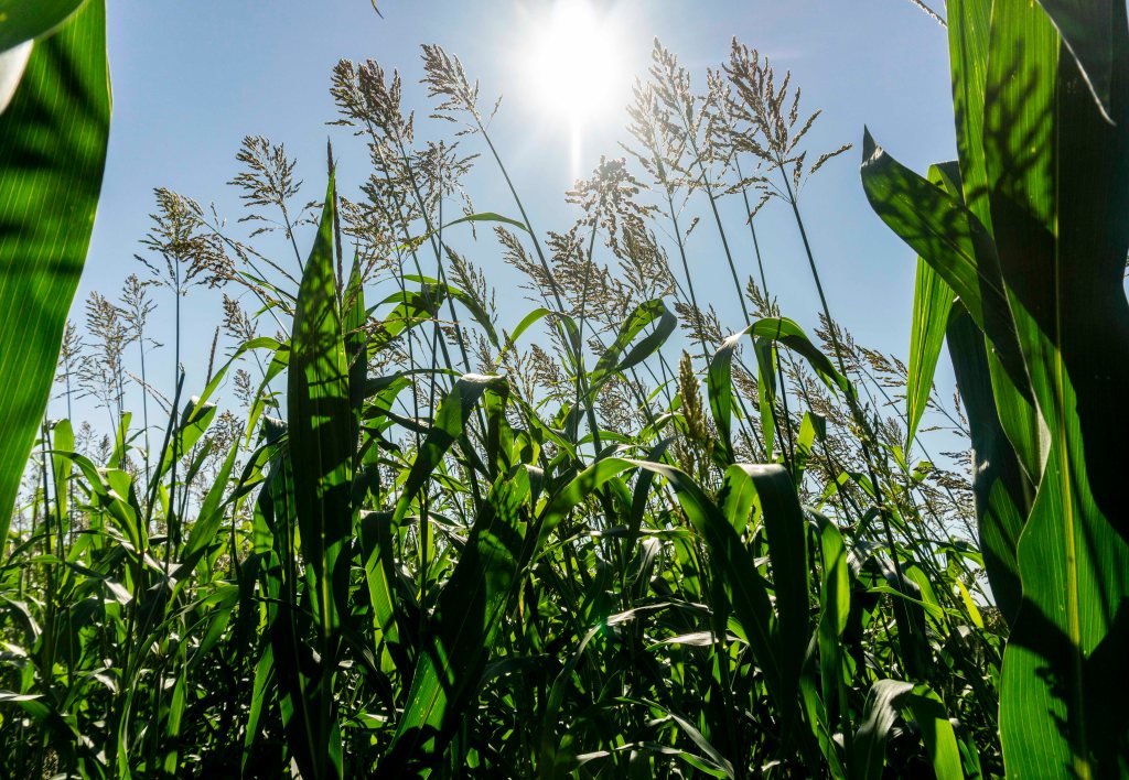 It’s Fall, Ya’ll